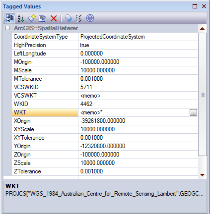 ArcGIS Spacial Reference tagged values